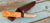 HELLE 632 MYRA LIMITED EDITION