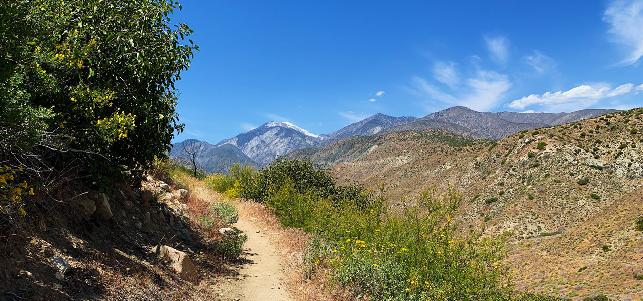 KRISTINES PACIFIC CREST TRAIL - 480 AV 4279 KM