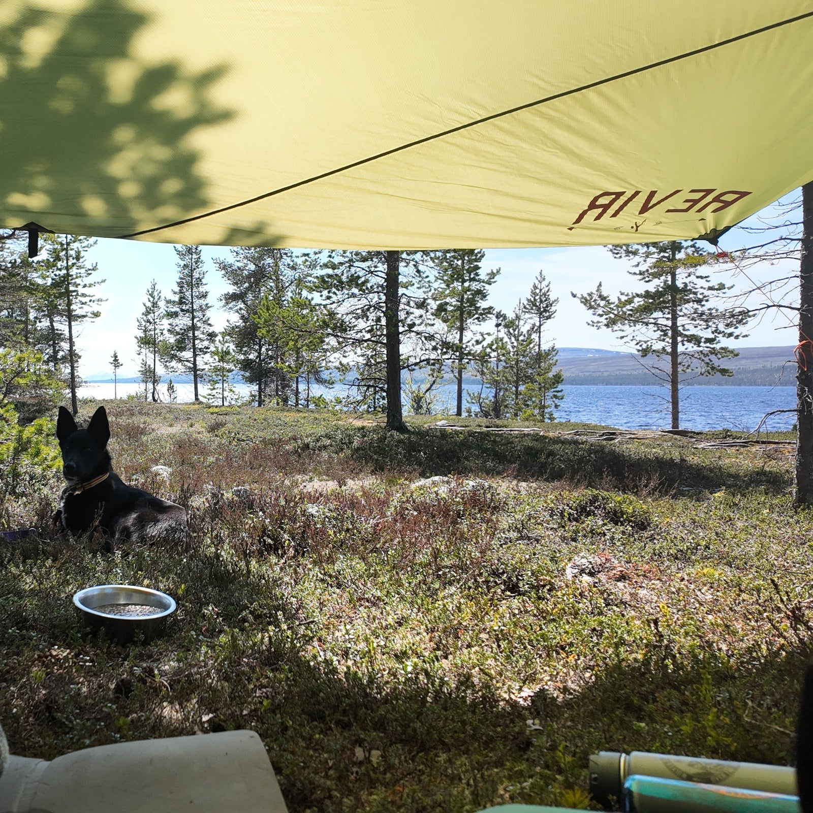 Revir Tarp Hegn – 3 X 4 Meter Ripstop – M/ Teltplugger Og Tau