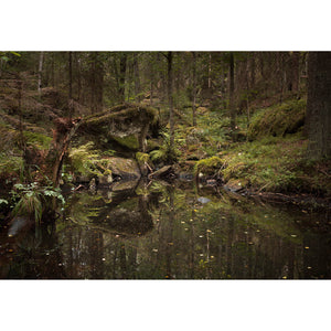 «Dam i bekken» – Arne JW Kolstø – Østmarka – Fotoprint