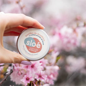 Sloé – Tannpasta pastiller – Mint eller Jordbær (med boks)