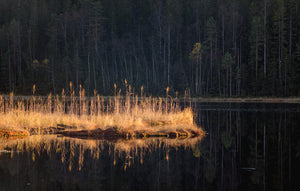 «KVELDSLYS OM HØSTEN» – ARNE JW KOLSTØ – ØSTMARKA – FOTOPRINT